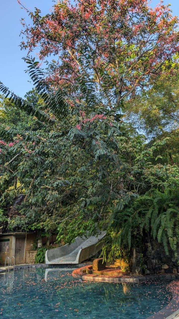 Leisure Land Bed & Breakfast Galle Room photo